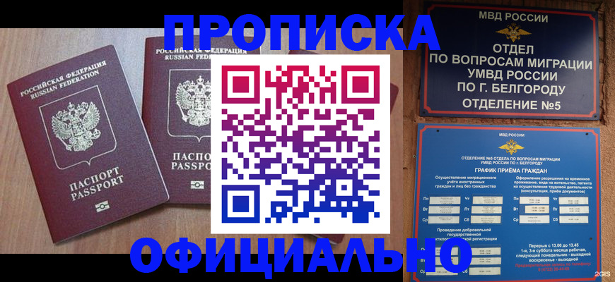 найти адрес прописки в Долинске